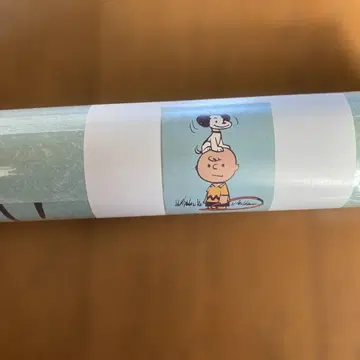 찰리 브라운 스누피 A2 포스터