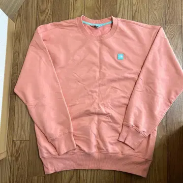 THE NORTH FACE 핑크 크루넥 맨투맨