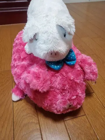 돼지 봉제 인형 돈사마