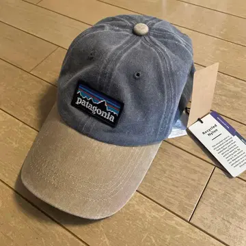 patagonia 캡 그레이/베이지