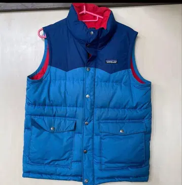 patagonia 파타고니아 다운 베스트