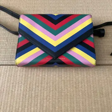 웨스트 파우치, 바디 백