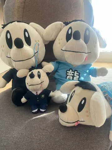 카즈하라 류토 제네견 세트