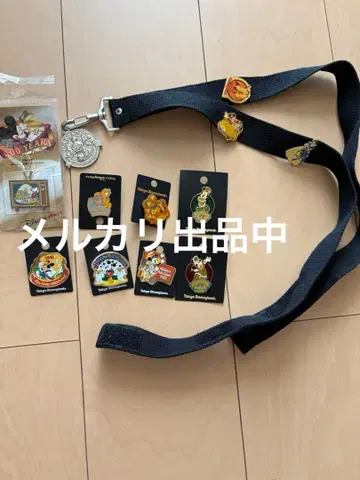 디즈니 디즈니랜드 핀 배지 메달