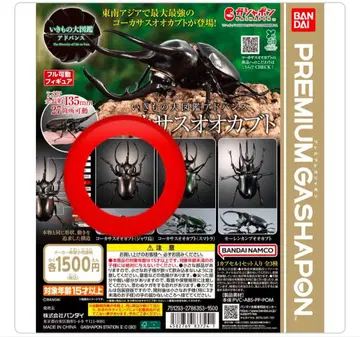 생물대도감 어드밴스 코카서스장수풍뎅이 (자바섬)