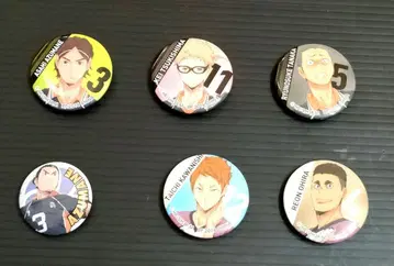 하이큐 복권 캔뱃지