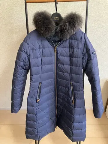 타트라스 별주 유나이티드 애로우즈 콜라보!