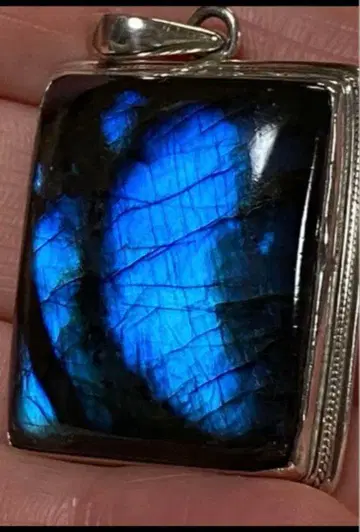 래브라도 라이트 펜던트 탑