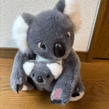 호주산 코알라 봉제 인형 대소 세트