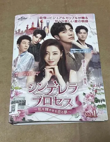 신데렐라 프로세스 DVD 렌탈업