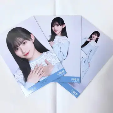 카와사키 벚꽃 카라 부착 코디 컴프