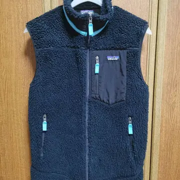 patagonia 레트로X 베스트