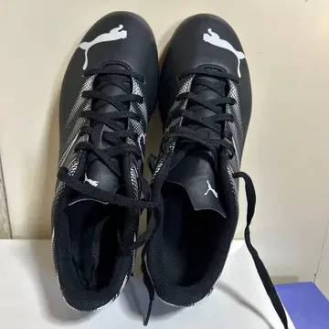 Puma 트레이닝 슈즈 블랙/화이트