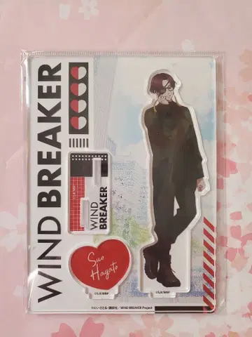 윈드 브레이커 소방 준토 마즐