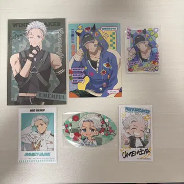 WIND BREAKER 윈브레 우메미야 하지메