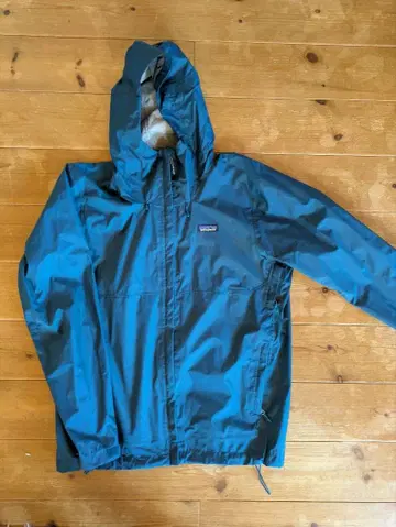 파타고니아 트렌트쉘 3L 레인 자켓