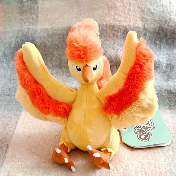 파이어 포켓몬 핏 봉제 인형 pokemonfit