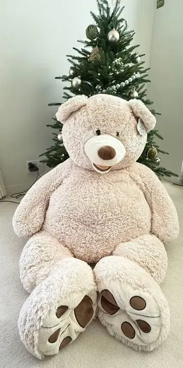 [ 새상품급 ] Costco 테디베어 곰 봉제 인형