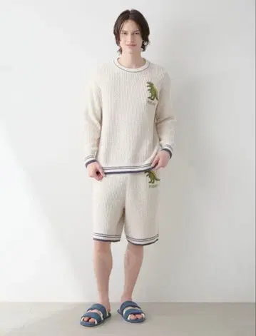 젤라피케 와플 다이너소어 풀오버 하프 팬츠 세트 야마다 료스케