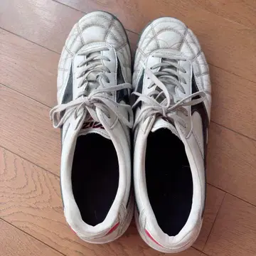 미즈노 모렐리아 27.0