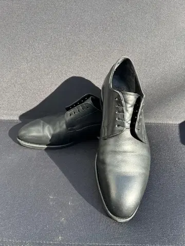 셰틀랜드 폭스 코벤트리 사이즈 7