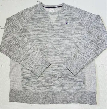 챔피온 원포인트 로고 맨투맨