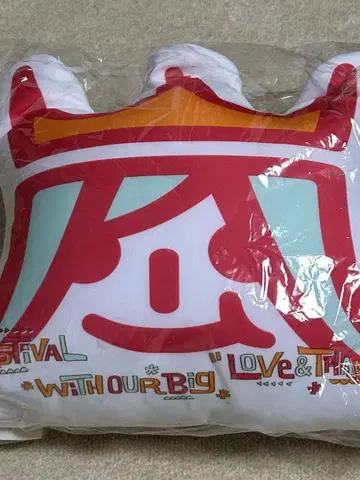 아라시 아라시페스 2013 쿠션