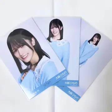 오오코시 히나노 카라 부착 코디 컴프