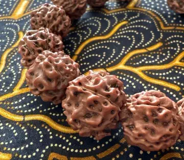 올 붕가 루드라크샤 팔찌