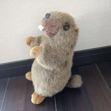 마모트 봉제 인형 호주산