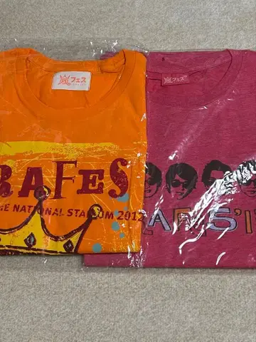 아라시 아라시 페스티벌 2012 2013 티셔츠 세트