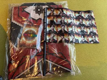 EXILE 프리미엄 시트 굿즈 하피 플래그 라미네이티드 패스