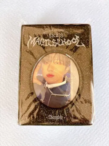 straykids 스키즈 콜렉트북 magicschool 창빈