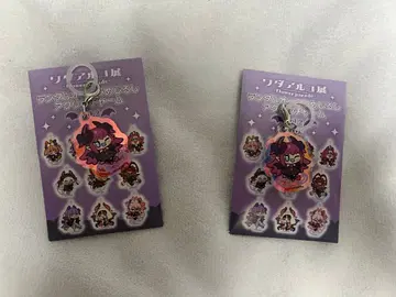 와다아루코전 오로라 메지루시 아크릴 참 엘리자베트 Fate FGO