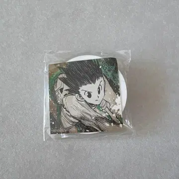 곤 헌터 시험 번호판 Hunter x Hunter