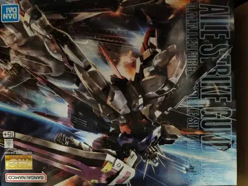 MG 1/100 에일 스트라이크 건담 Ver.RM 건담 SEED