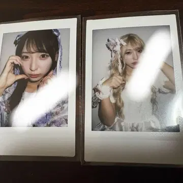 스이 스테 시오카와 리세 빙고 폴라로이드