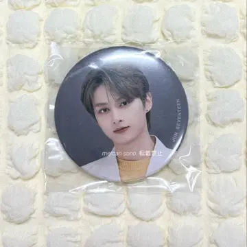 SEVENTEEN 세븐틴 HARE 캔뱃지 준