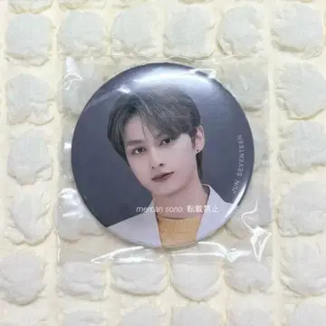 SEVENTEEN 세븐틴 HARE 캔뱃지 준
