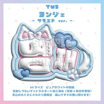 통통 네임보드 TWS 영재 투어스 트와이스 사모예드 매트 가공