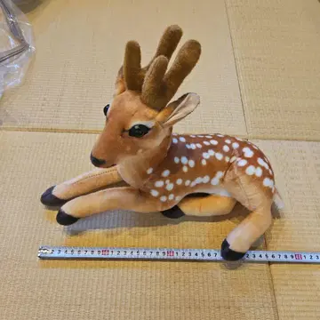 사슴 봉제 인형 약 40cm 리얼 동물 봉제 인형 미사용 새상품