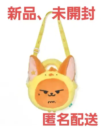 TXT PPULBATU 크로스백 팬 준 팬 영준