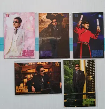 2025 가을 사쿠라이 씨 트레이딩 카드