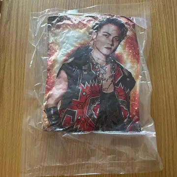 미개봉 이와타니 쇼고 쿠션