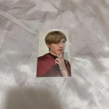 야마나카 유타로 kissplan 트레이딩 카드