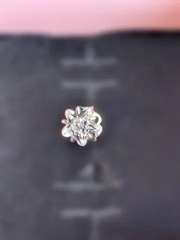 PANDORA 스털링 실버 귀걸이