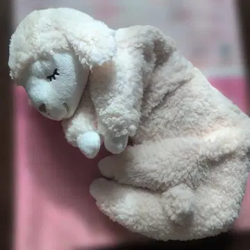 따뜻하게 사용할 수 있는 크림색 목도리