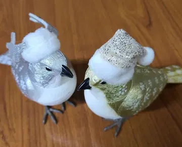 뮤직버드 Francfranc