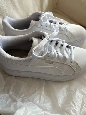 푸마 통굽 스니커즈 26cm SnowMan 콜라보 카르멘