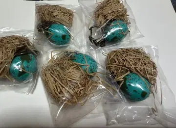 메추리알 에그 어스 5개 키링 스트랩 파란색 메추라기